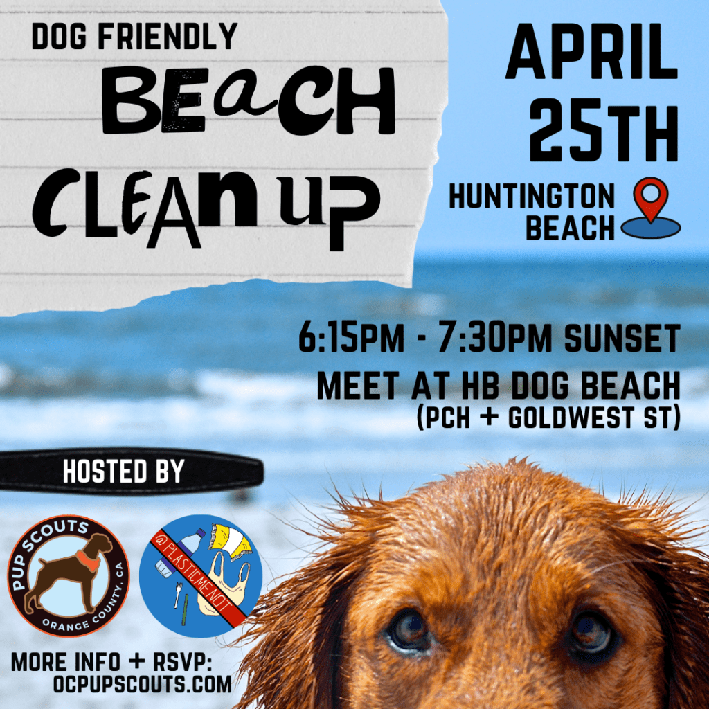 spring + summer pup friendly events