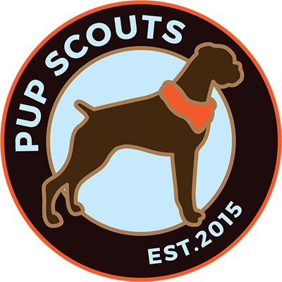 MD Pup Scouts