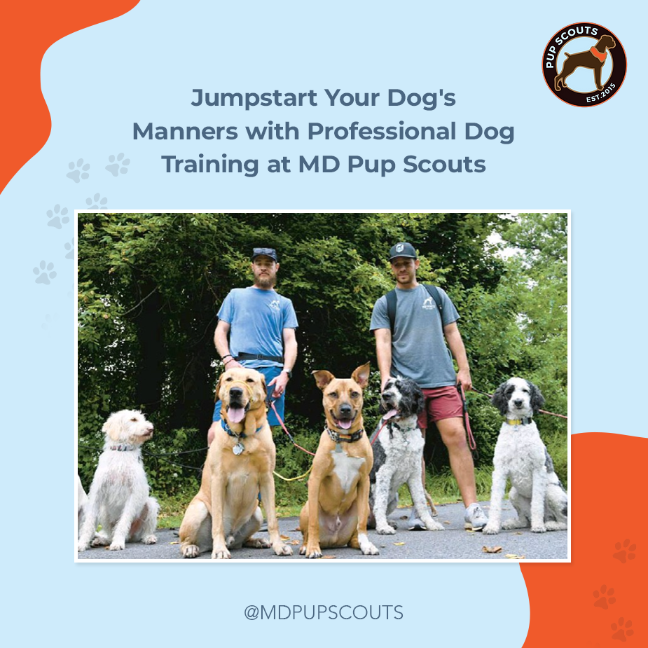 discover professional dog trainers at md pup scouts
