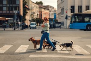 Female dog walker with dogs enjoying in city walk