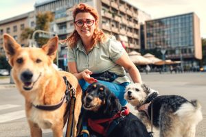 Female dog walker with dogs enjoying in city walk